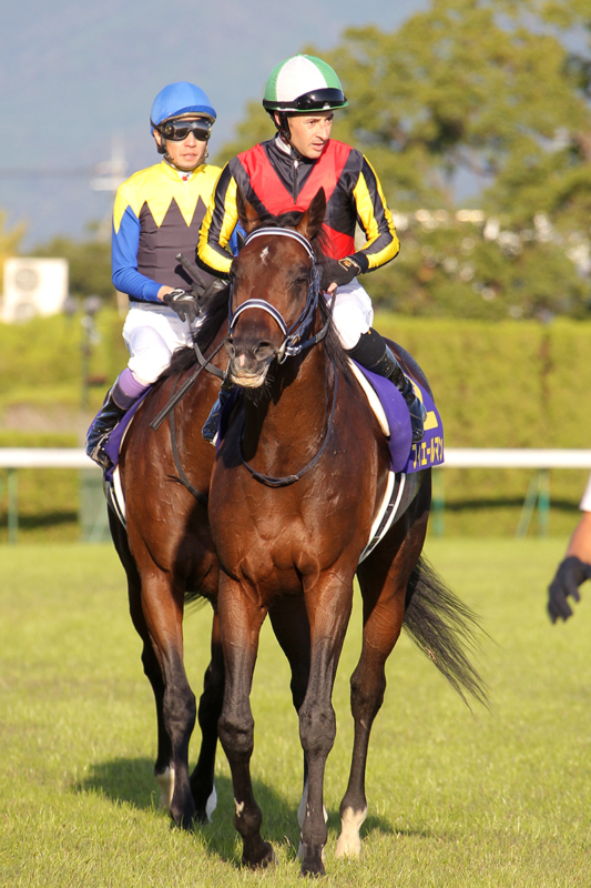 菊花賞もルメール！関東馬フィエールマン優勝 - Moment日刊ゲンダイ