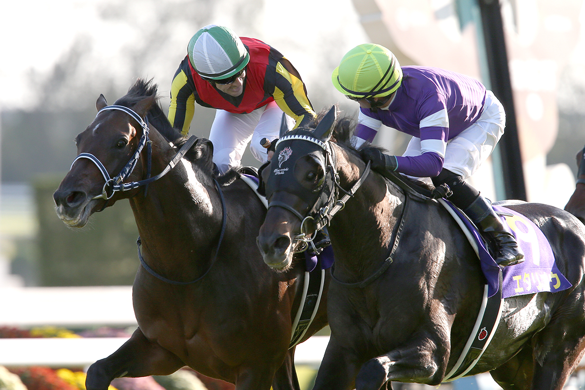 競馬 フィエールマン ルメール騎手 手塚厩舎 菊花賞優勝記念 ジャージ 