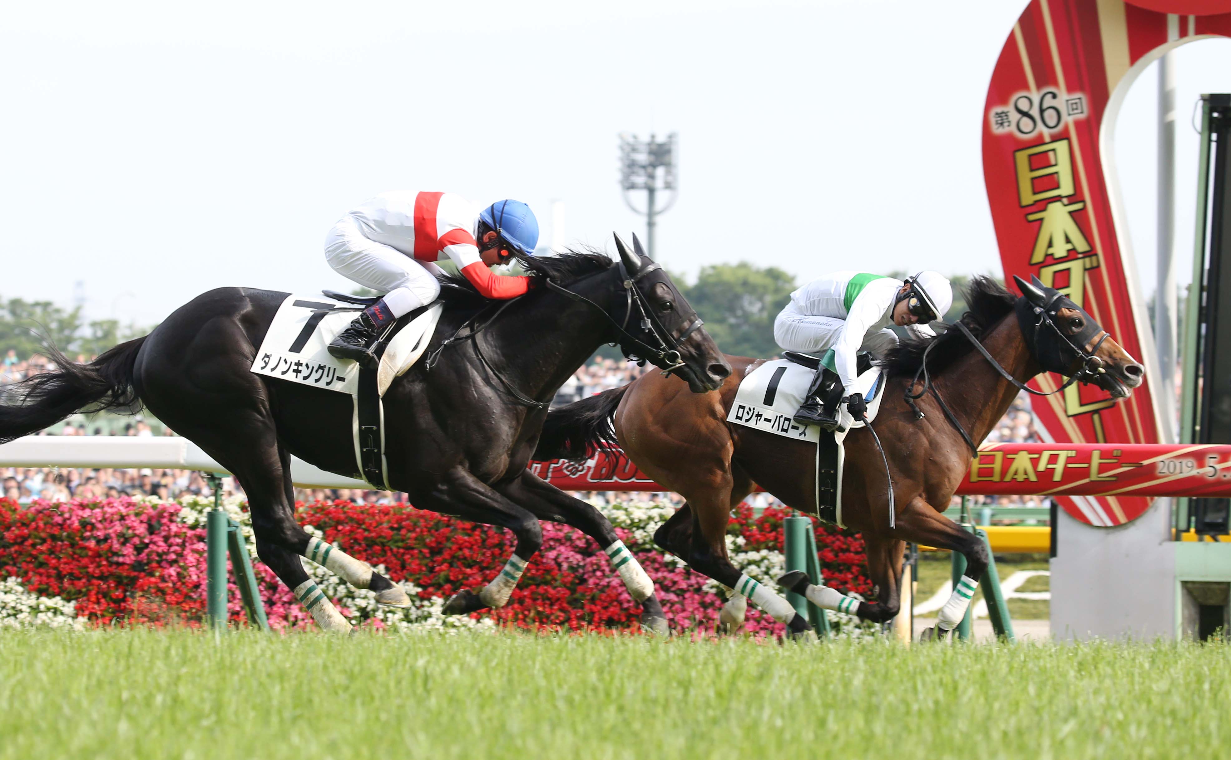 競馬 2019年第86回日本ダービー出走馬ミニゼッケン３枚セット - その他