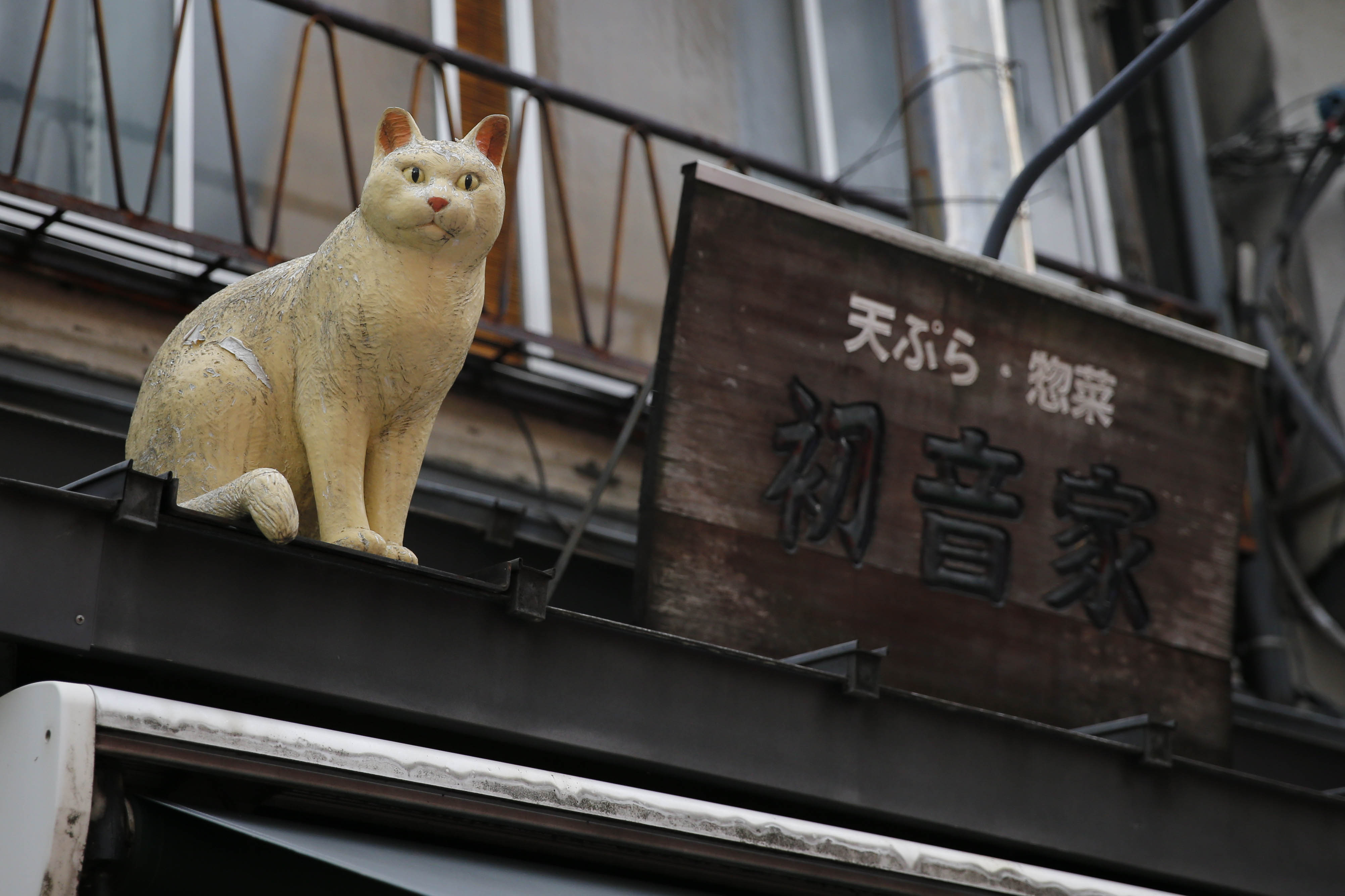 東京都内２大猫スポット 行ってみたらこうだった Moment日刊ゲンダイ