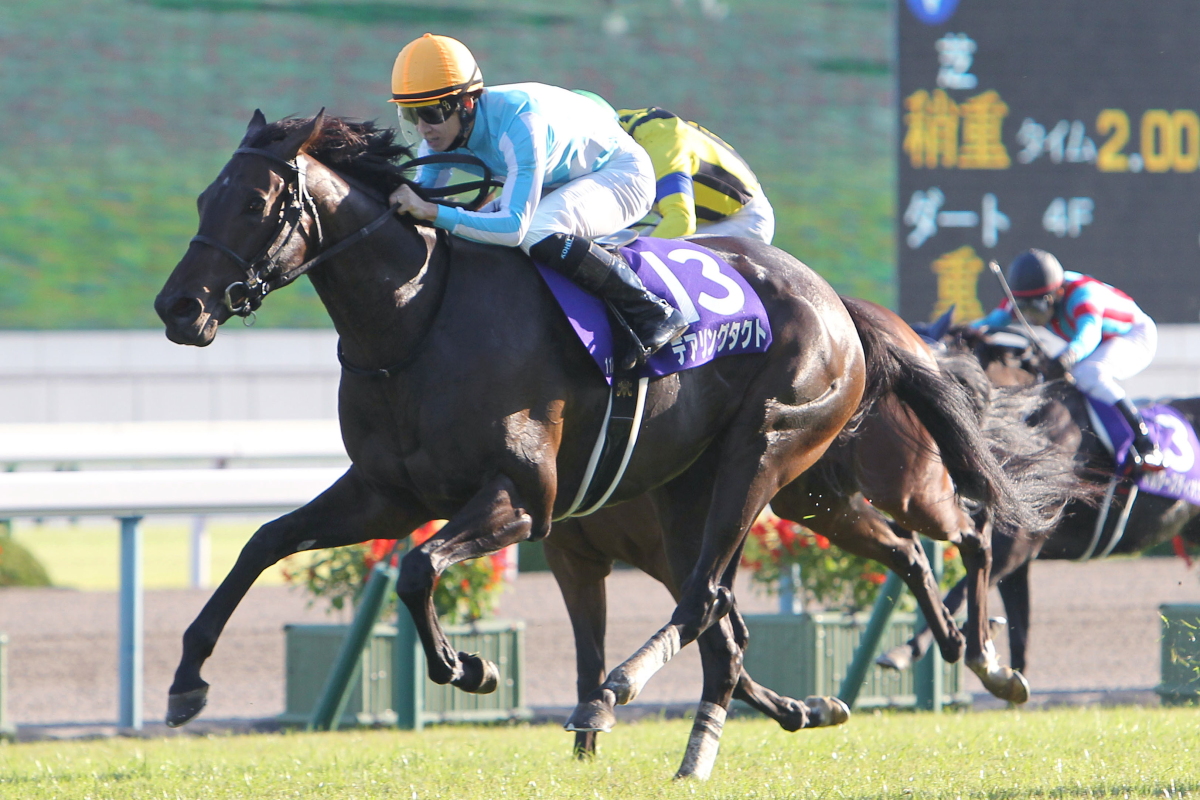 最高品質の 競馬 デアリングタクト 勝負服Tシャツ 三冠 松山弘平 ...