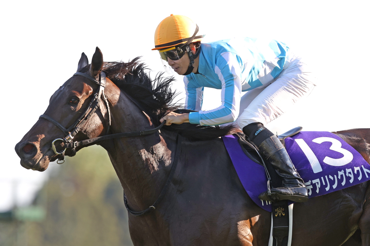 デアリングタクト 三冠記念 ジャンパー 競馬 ブルゾンJRAMサイズ