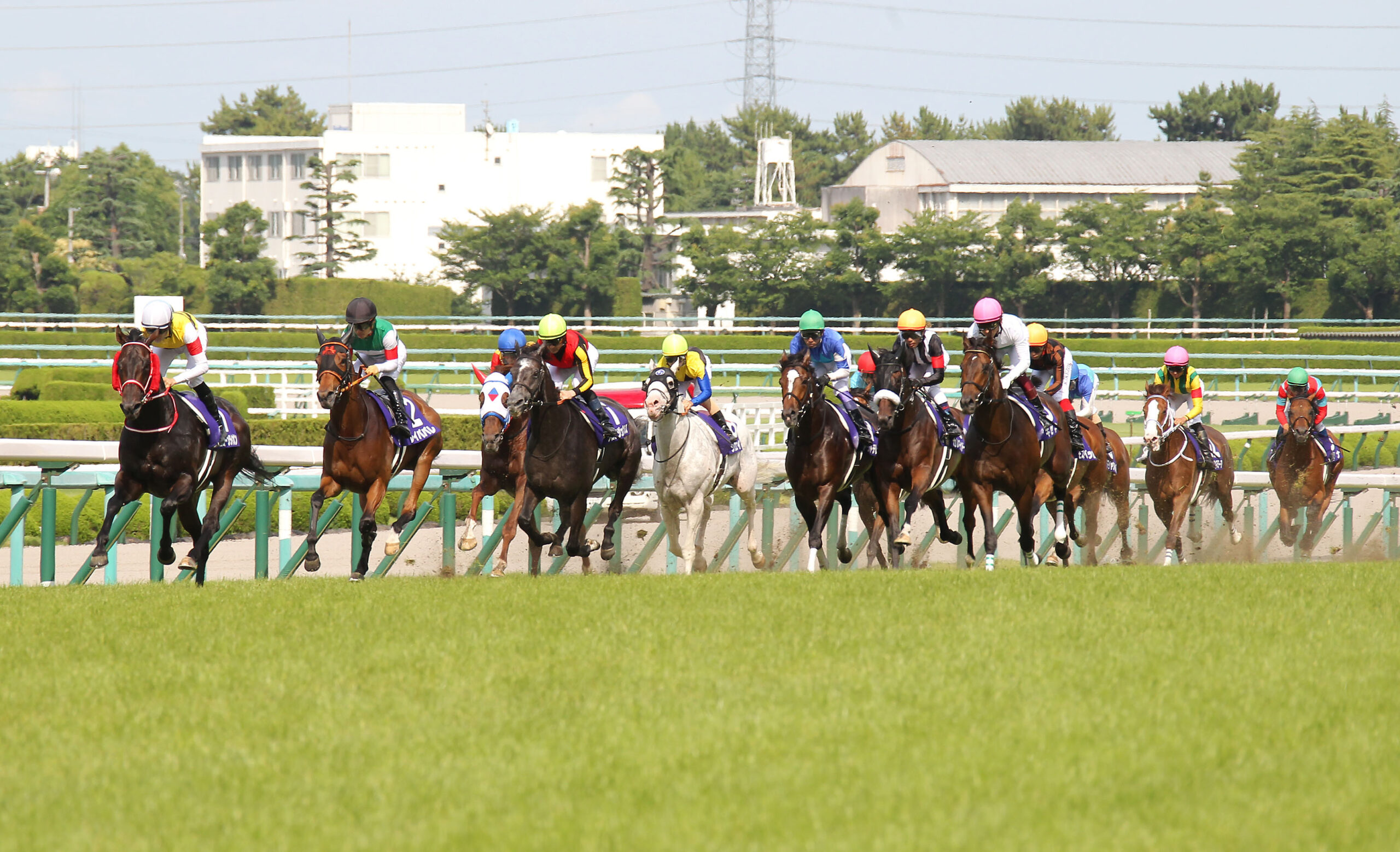 宝塚記念２連覇クロノジェネシスいざ凱旋門賞へ - Moment日刊ゲンダイ