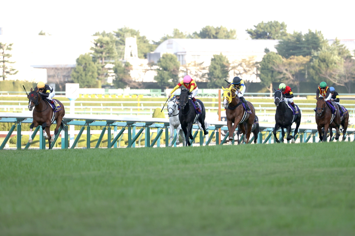 アスクビクターモアがクラシック最終戦を制す・菊花賞 - Moment日刊ゲンダイ