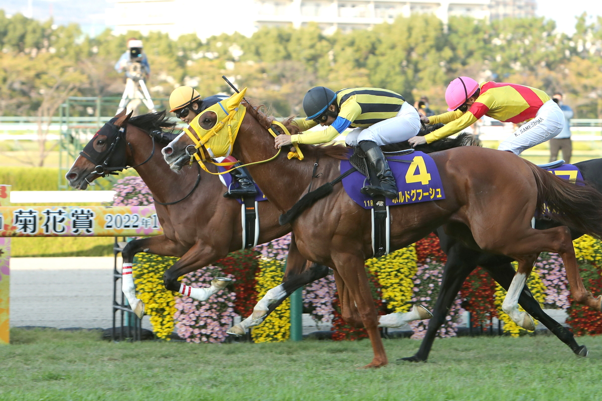 アスクビクターモアがクラシック最終戦を制す・菊花賞 - Moment日刊ゲンダイ